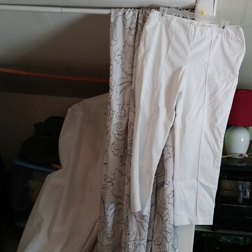 Dress pants